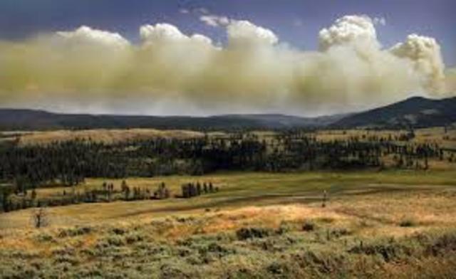 yellowstone park