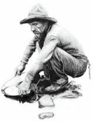 Prospector created