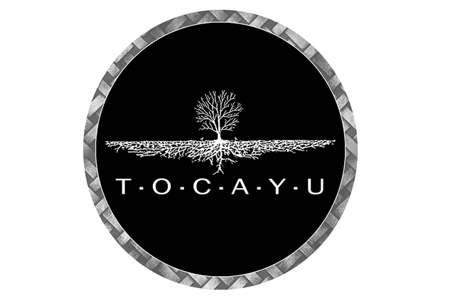 Creacion de mi primera empresa