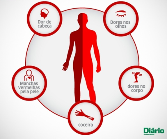 Quais são os sintomas? 1964