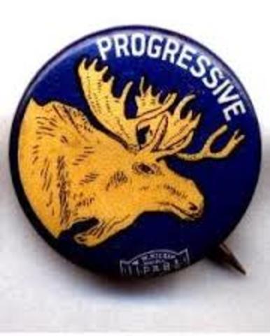 Bull Moose Party