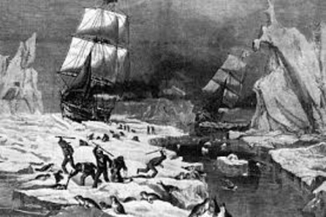 Whaling and Sealing.