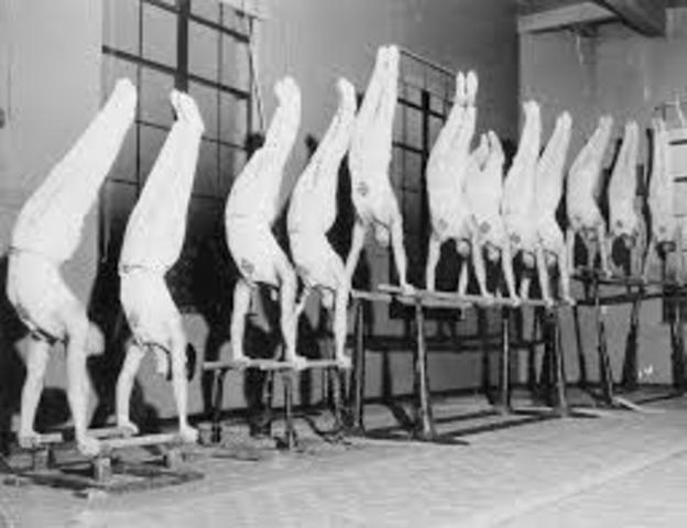 Gymnastics