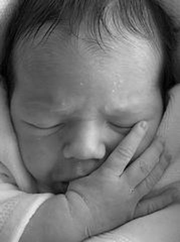 Margaret Bradley born