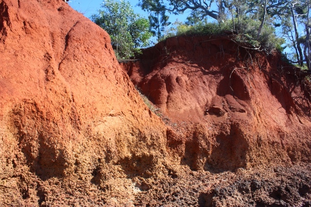Moreton bay settlement no.1
