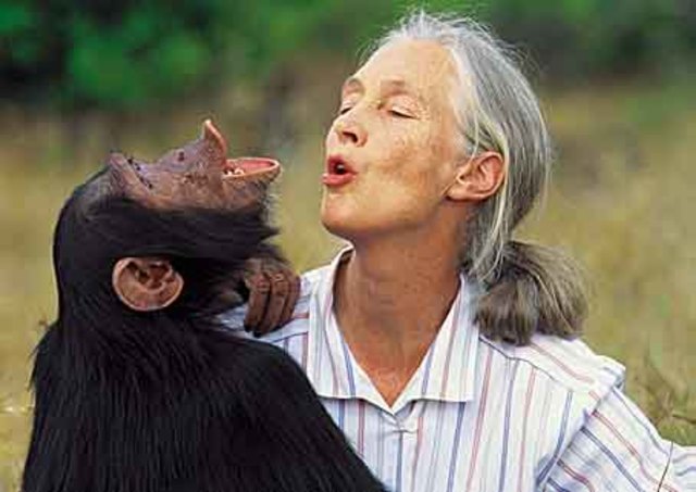 Jane Goodall