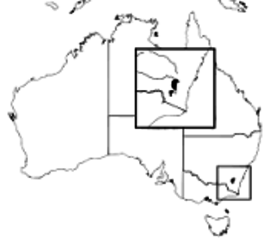 The national capital