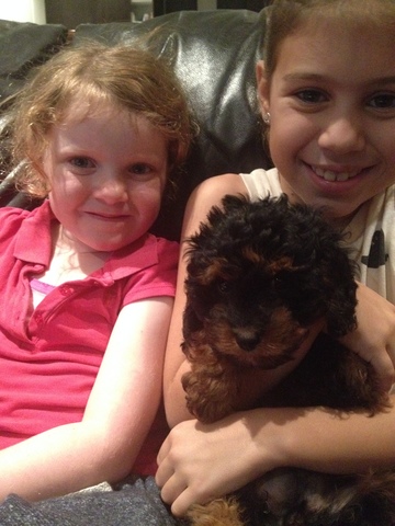 First day with my dog Bronty