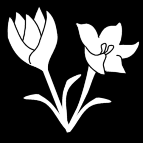 Elizabeth's book 'Old Gardens of Italy' published.