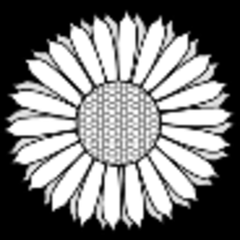 'Cities and Sites of Spain' published by Elizabeth