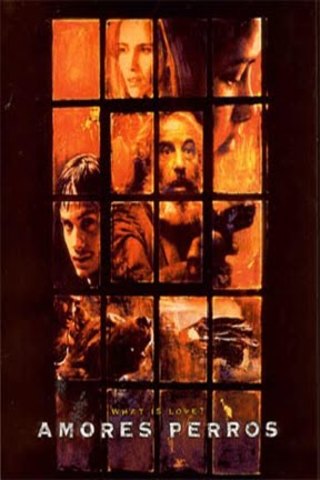 Amores Perros