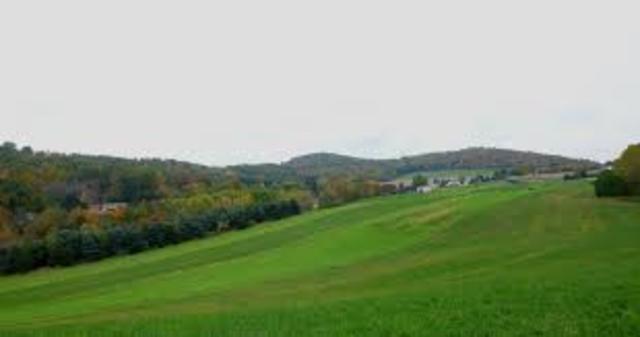 Americans wanted land