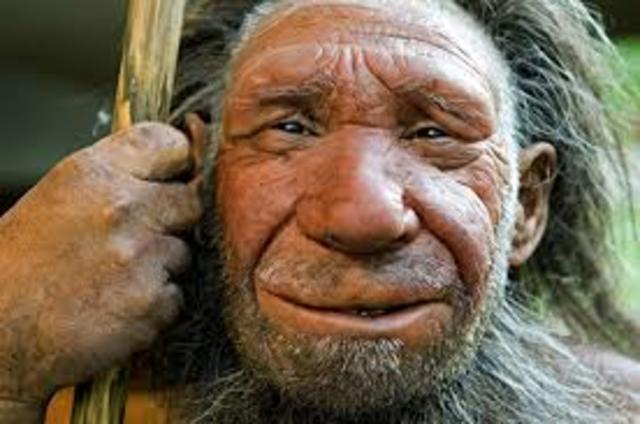 homo neanderthalensis
