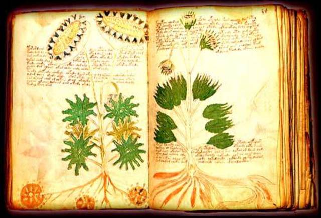 Manuscrito Voynich