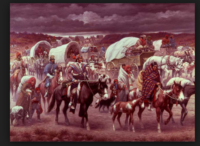 Trail of tears come back to seewht day and month it happne