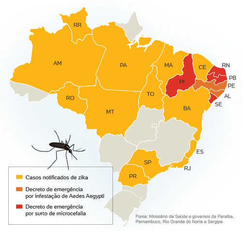 Casos suspeitos e confirmados