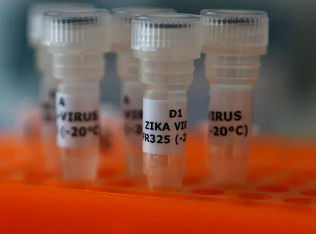 Identificação do vírus