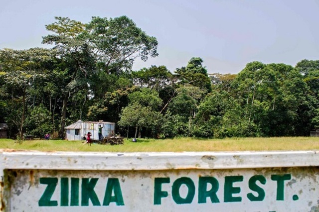 Surgimento do Vírus