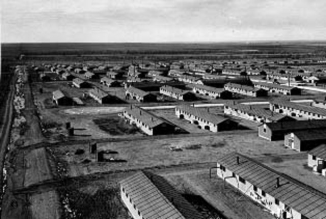 German, Italian, and Japnese Americans all put into internment camps