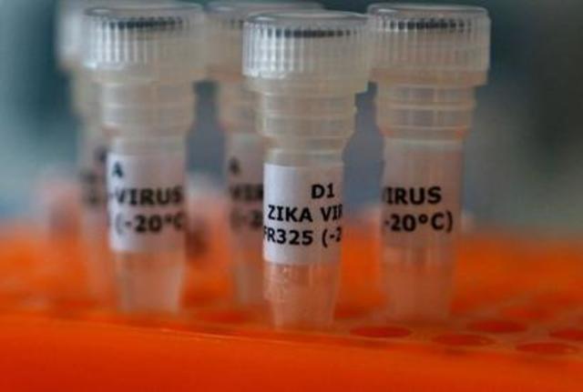 Transmissão por saliva e urina