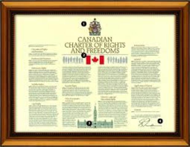 Charter of rights and freedoms