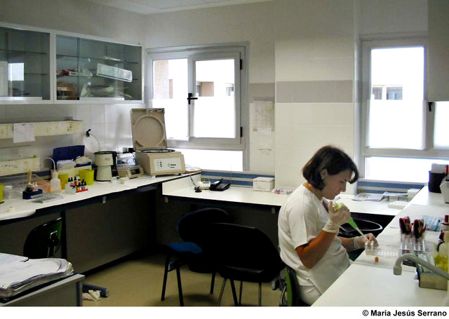 Comienzo del trabajo en el Centro de Transfusiones