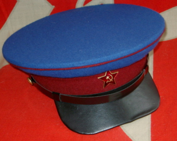 Lina and Her Family are Taken