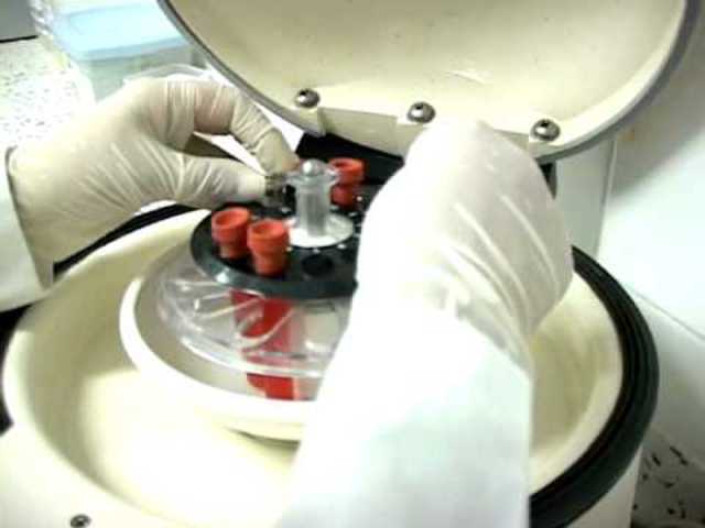 Fin del primer contrado en el Centro de Transfusiones