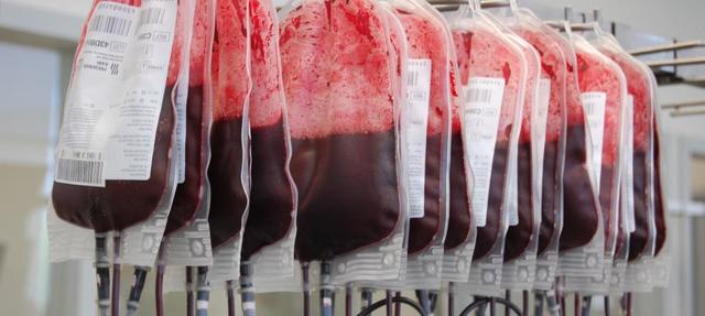 Formacion de alumnos