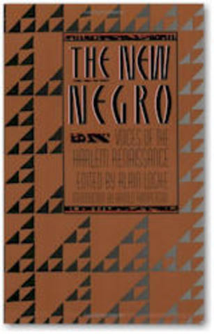 1920s African American Identity