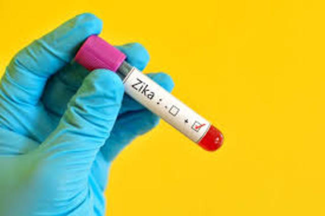 O isolamento do vírus