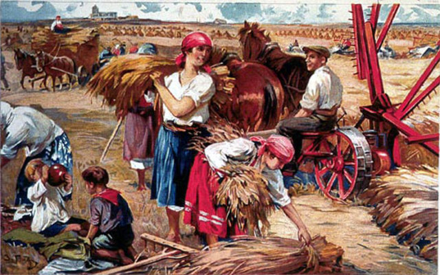 Collectivisation of agriculture begins