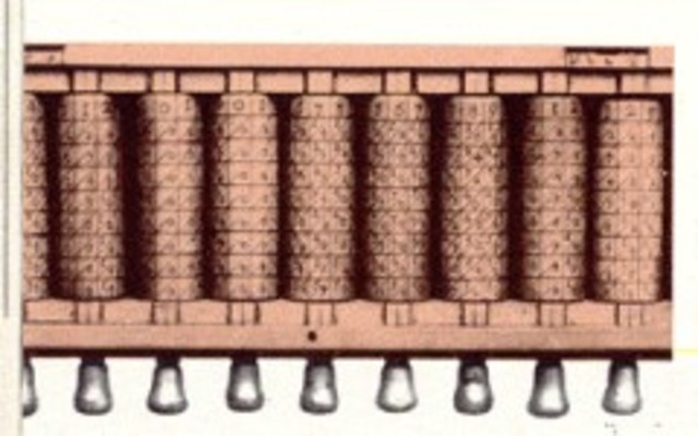 Bastoncillo De Napier.