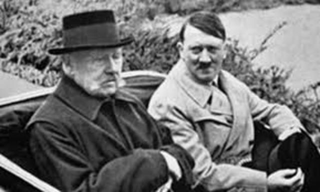 Hitler Rises to Power