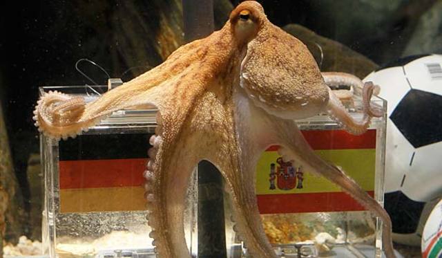 Paul the Octopus (international)