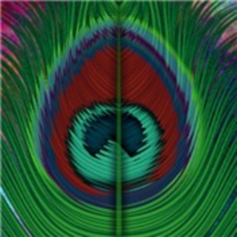 My First Trip to the Zoo