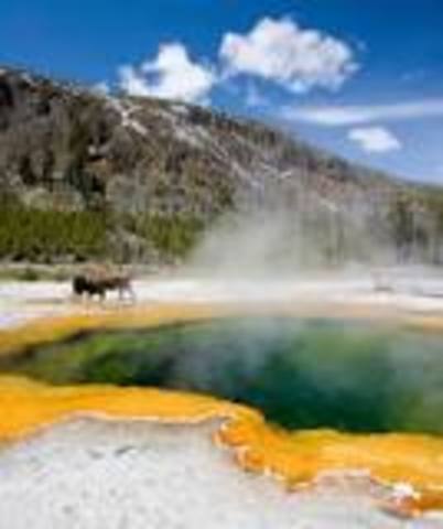 Yellowstone Park