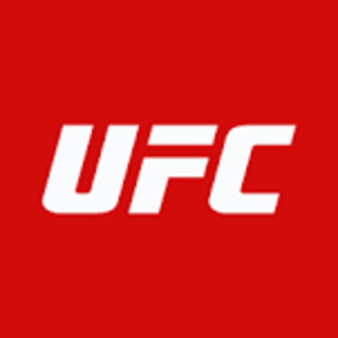 UFC begins
