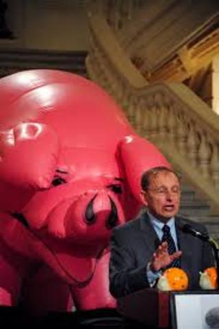 A Pig Is Placed In The Capital