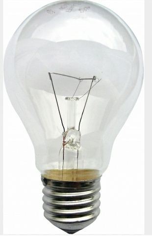 the bulb