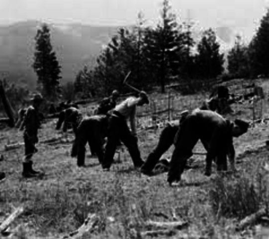 Civilian Conservation Corps