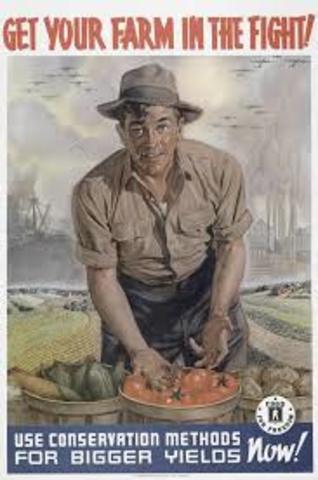 new deal programs (agricultural adjustment act)