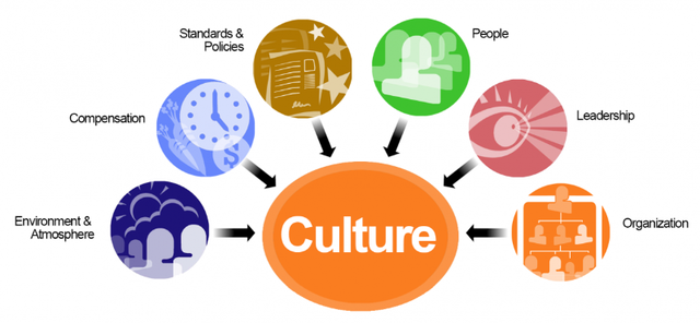 STAGE 7: FOCUSED ON CULTURE: