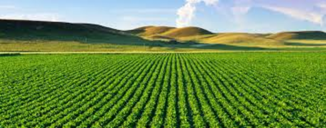 Agricultural Adjustment Administration