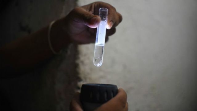 Possível transmissão do Zika por saliva e urina