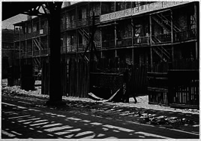 United States Housing Authority