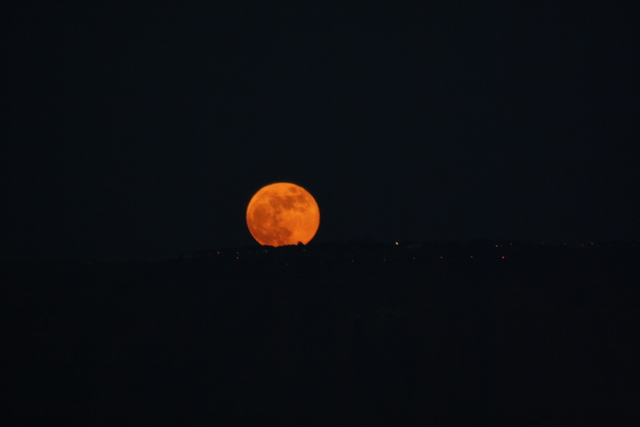 Moon of the Sea of Galilee
