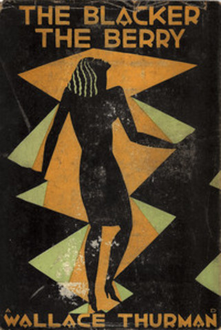 The Blacker the Berry: A Novel of Negro Life