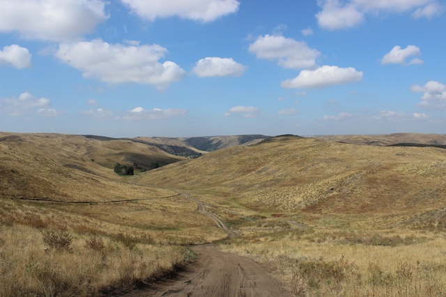 Оренбургские степи