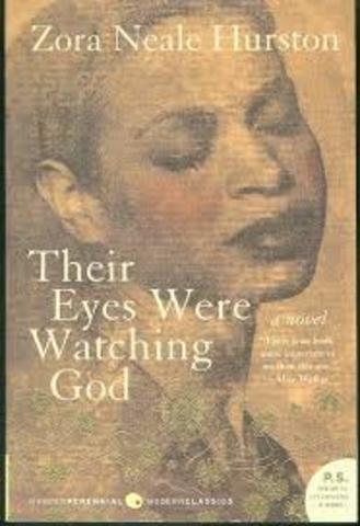 1920's African American Idenity: Their Eyes Were Watching God